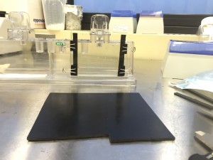 Make gel slab using Western Blot!